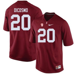 Mens Stanford #20 Aeneas DiCosmo Cardinal Stitched Jerseys 428233-112