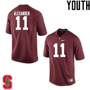 Youth Stanford #11 Terrence Alexander Cardinal Embroidery Jerseys 349969-648