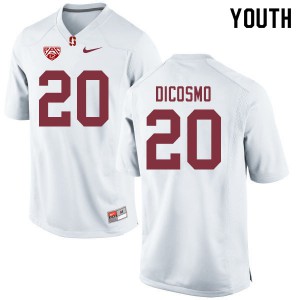 Youth Stanford Cardinal #20 Aeneas DiCosmo White Player Jerseys 502224-443