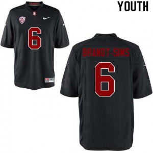 Youth Stanford University #6 Isaiah Brandt-Sims Black Football Jerseys 387301-438