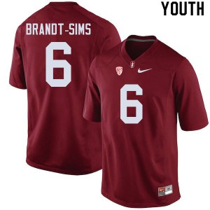 Youth Stanford University #6 Isaiah Brandt-Sims Cardinal NCAA Jerseys 381441-745