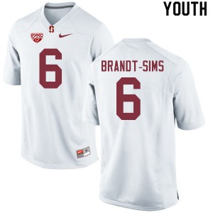 Youth Cardinal #6 Isaiah Brandt-Sims White Alumni Jerseys 490761-291