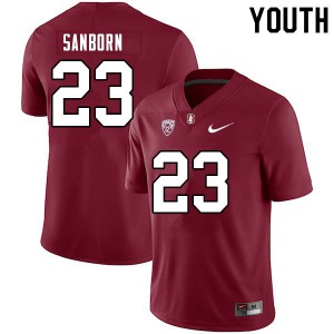 Youth Stanford #23 Ryan Sanborn Cardinal Official Jerseys 849897-411